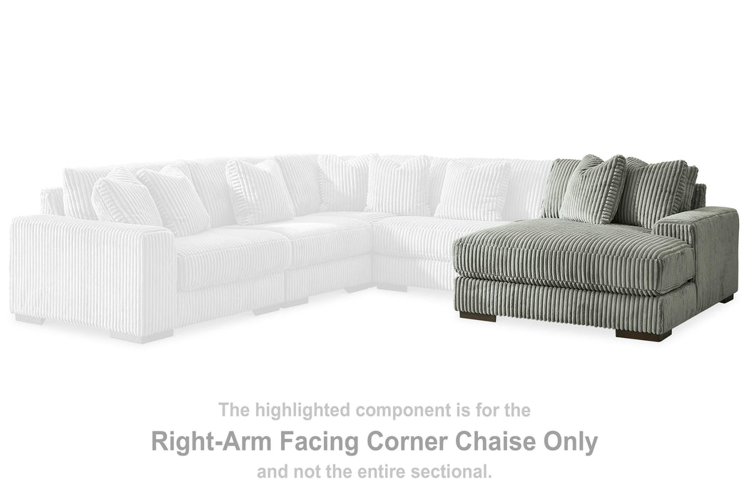 Lindyn Sectional with Chaise - Ogle Furniture (TN)