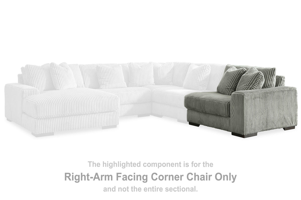 Lindyn Sectional with Chaise - Ogle Furniture (TN)
