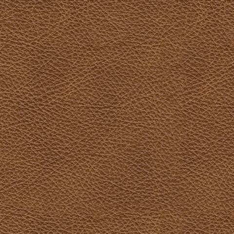 Carianna Oversized Chair - Ogle Furniture (TN)