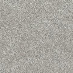 Amiata Oversized Accent Ottoman - Ogle Furniture (TN)