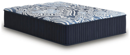 Firm Luxe 2.0 Mattress - Ogle Furniture (TN)