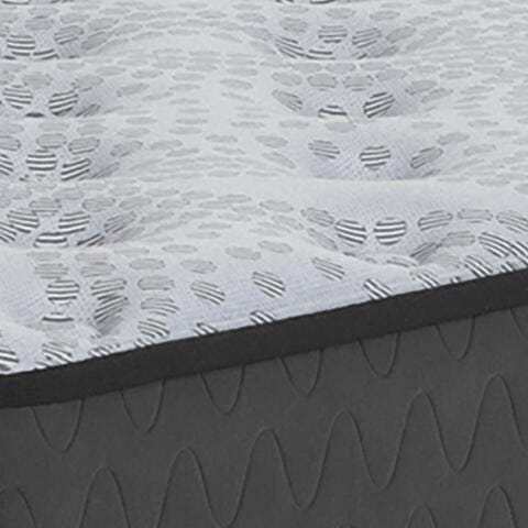 Comfort Plus Mattress - Ogle Furniture (TN)