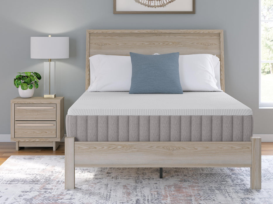 Terra Sleep Firm Mattress - Ogle Furniture (TN)