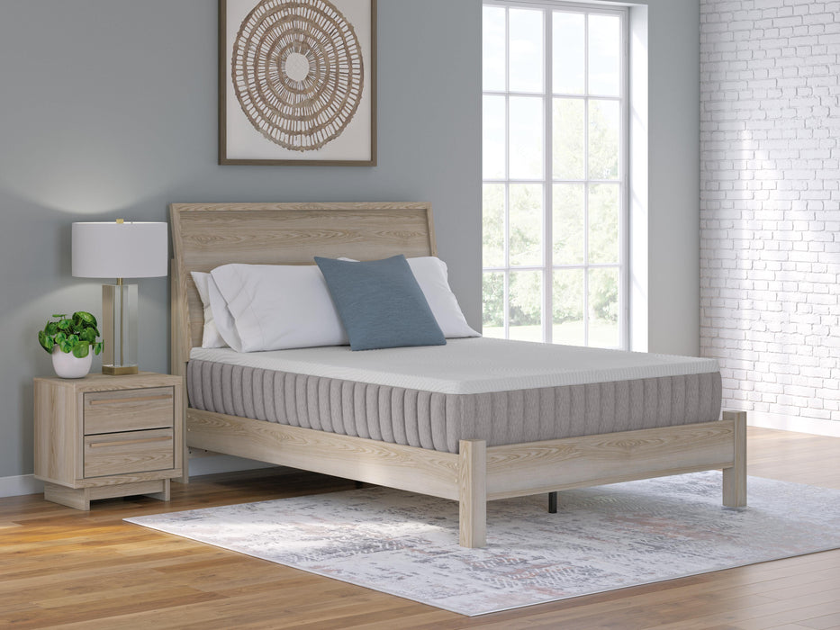 Terra Sleep Firm Mattress - Ogle Furniture (TN)