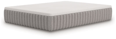 Terra Sleep Soft Mattress - Ogle Furniture (TN)