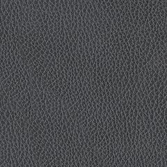 Next Move Power Reclining Sofa - Ogle Furniture (TN)