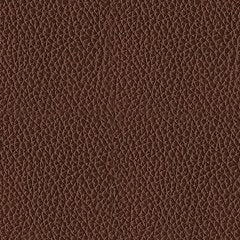 Next Move Power Reclining Sofa - Ogle Furniture (TN)